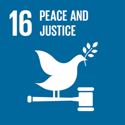SDG 16